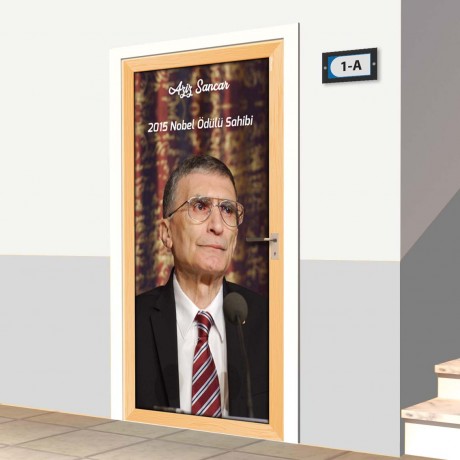 Kapı Giydirme - Aziz Sancar - K682