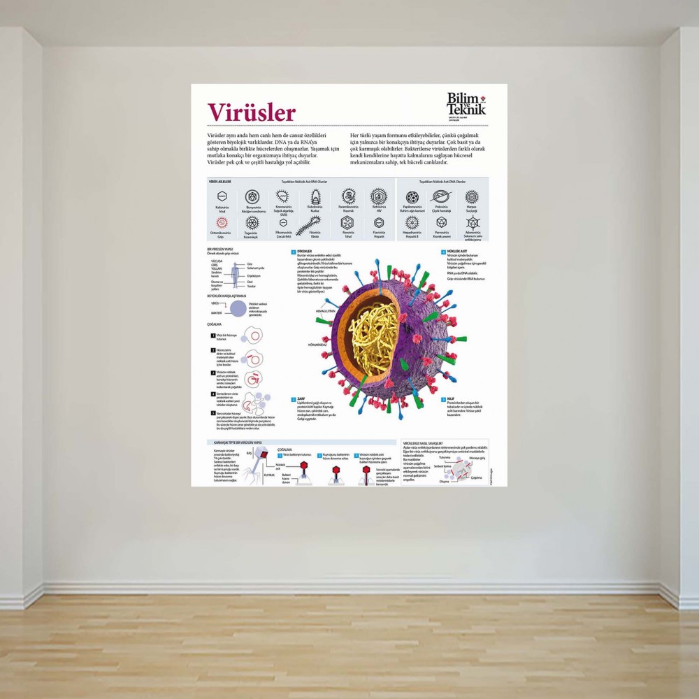Virüsler - Okul Posteri - PO1022