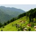 Trabzon - 3 Boyutlu Merdiven Giydirme - MG276