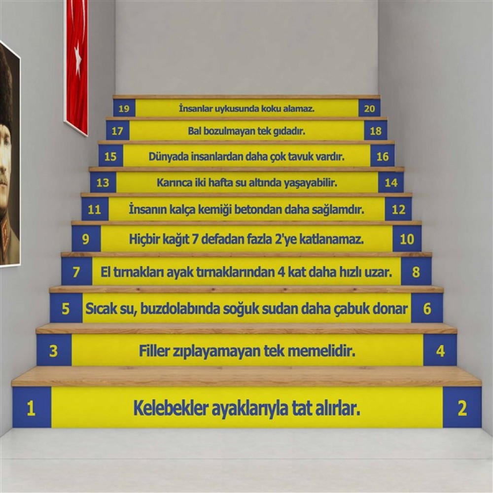 İlginç Bilgiler - Merdiven Giydirme - MG117