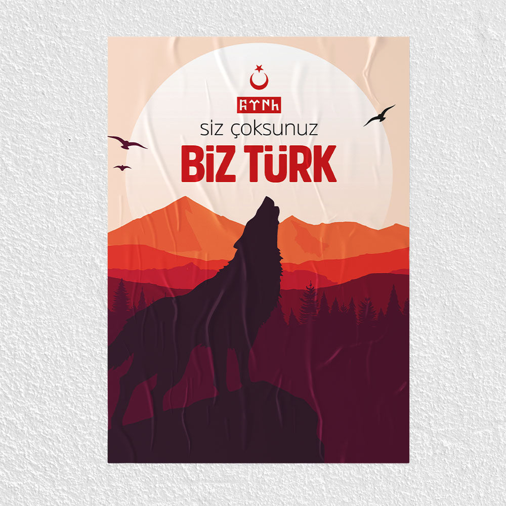 Siz Çoksunuz Biz Türk Posteri - PO214