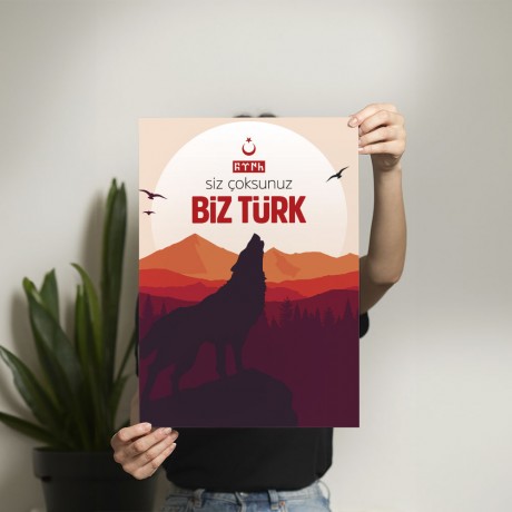 Siz Çoksunuz Biz Türk Posteri - PO214