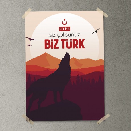 Siz Çoksunuz Biz Türk Posteri - PO214