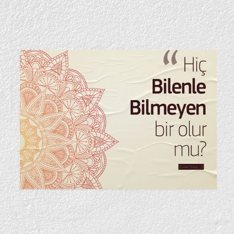 Hiç Bilenle Bilmeyen Bir Olurmu Posteri - PO218