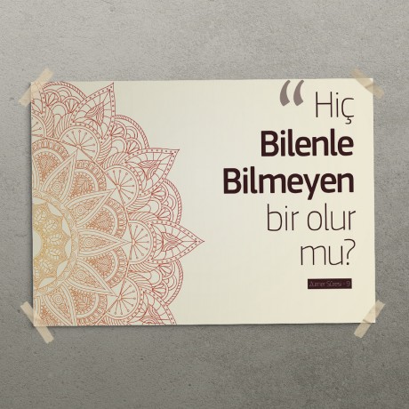 Hiç Bilenle Bilmeyen Bir Olurmu Posteri - PO218