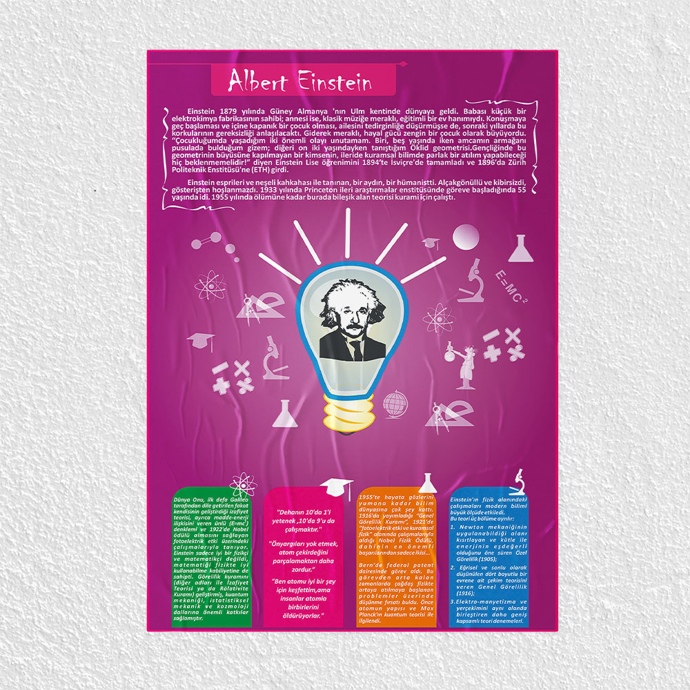 Albert Einstein Posteri - PO237