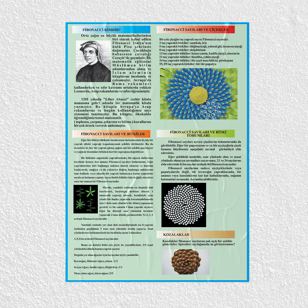 Fibonacci Posteri - PO662