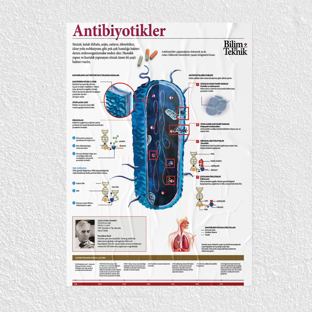 Antibiyotikler Posteri - PO702