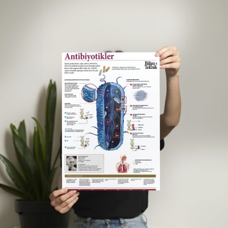 Antibiyotikler Posteri - PO702