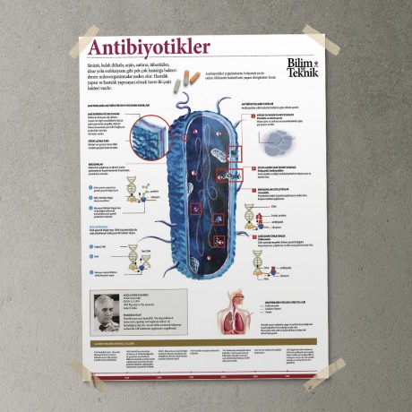 Antibiyotikler Posteri - PO702