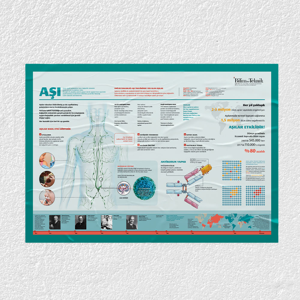 Aşıların Etkileri Posteri - PO705