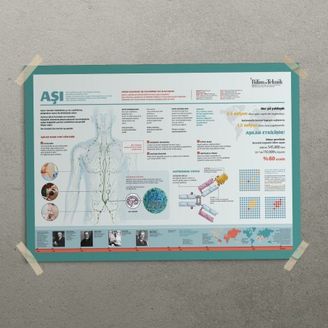 Aşıların Etkileri Posteri - PO705