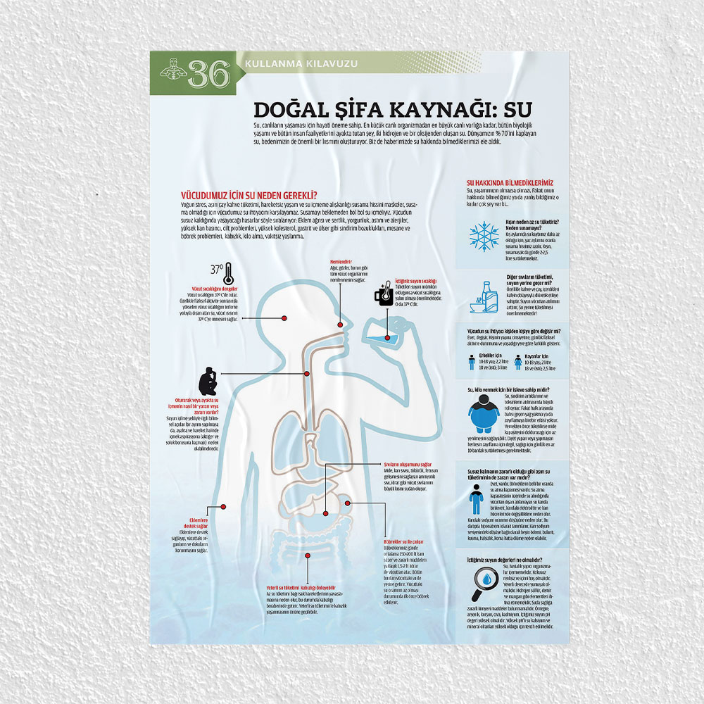 Su İçmenin Faydaları Posteri - PO714