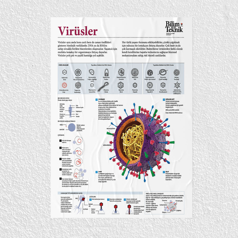 Virüsler Posteri - PO720