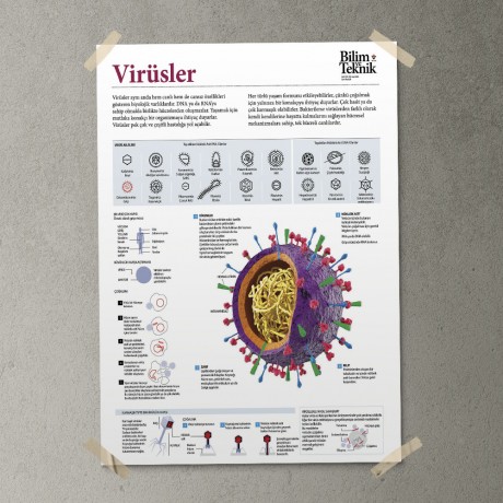 Virüsler Posteri - PO720