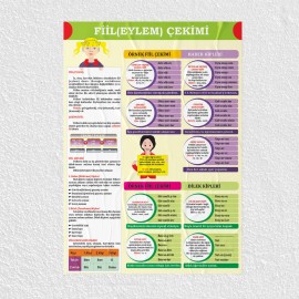 Fiil Çekimi Posteri - PO741
