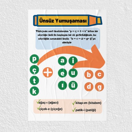 Ünsüz Yumuşaması Posteri - PO764